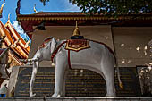 Chiang Mai - Wat Phra That Doi Suthep. Monument to the white elephant that according to legend selected the site of the temple. 